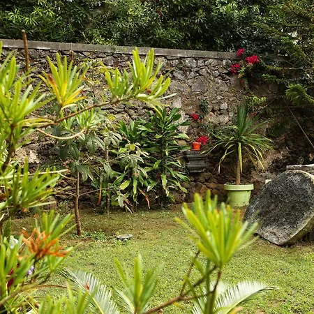 Casa Do Pico Arde Alojamento de Turismo Rural